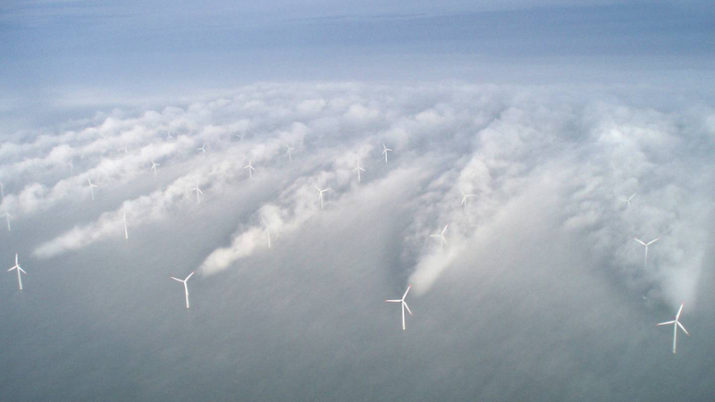Image: Horns Rev Offshore Windfarm